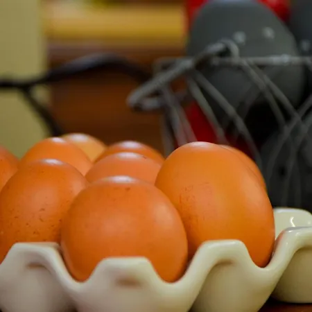 Le Lioran Hotel Aurillac