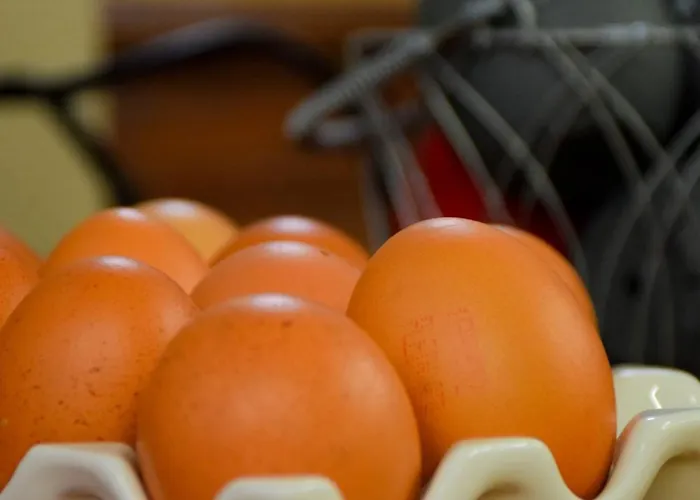 Le Lioran Hotel Aurillac