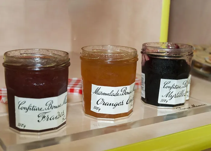 Le Lioran Hotel Aurillac